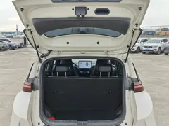 2025 BYD Seagull Smart Driving 305km Freedom, белый — фото 10