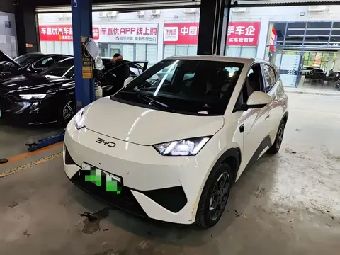 2025 BYD Seagull Smart Driving 305km Freedom