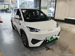 2025 BYD Seagull Smart Driving 305km Freedom, белый — фото 2