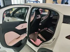 2025 BYD Seagull Smart Driving 305km Freedom, белый — фото 6