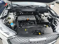 2021 Haval H6 3rd Gen 1.5T AT 2WD Max, белый — фото 20