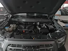 2022 Haval Dargo 2.0T DCT 4WD Xiaotianquan Hunter, чёрный — фото 20