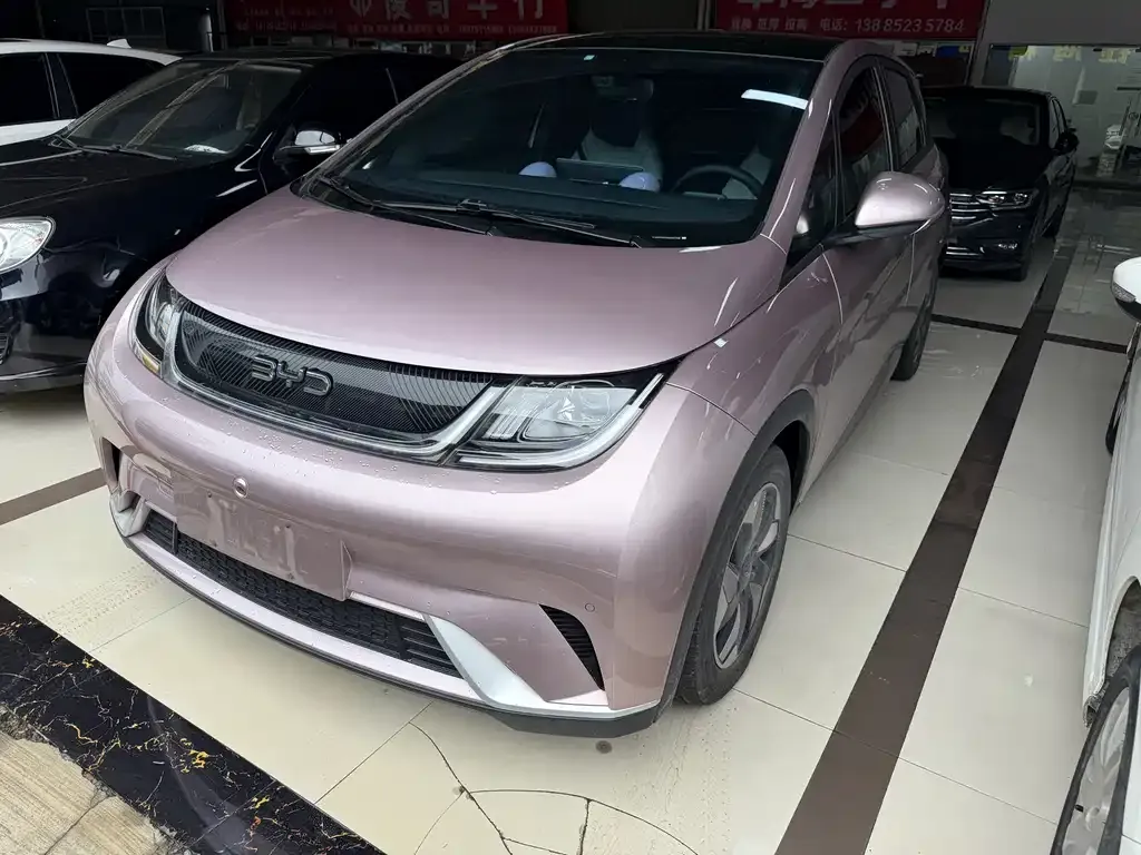 2024 BYD Dolphin Honor 420km Fashion