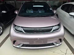 2024 BYD Dolphin Honor 420km Fashion — фото 3