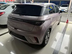 2024 BYD Dolphin Honor 420km Fashion — фото 4