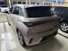 2024 BYD Dolphin Honor 420km Fashion — фото 6