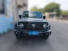2023 Tank 300 Off-road 2.0T Challenger — фото 2