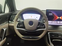 2024 BYD Tang DM-p PHEV Champion 215km 4WD Premium — фото 11