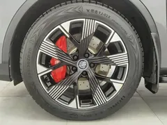 2024 BYD Tang DM-p PHEV Champion 215km 4WD Premium — фото 17