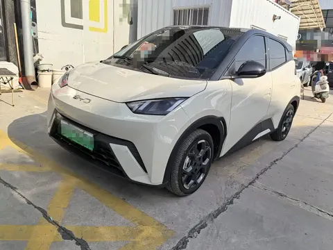 2025 BYD Seagull 305km Freedom