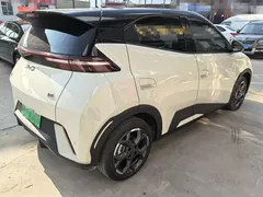 2025 BYD Seagull 305km Freedom — фото 6