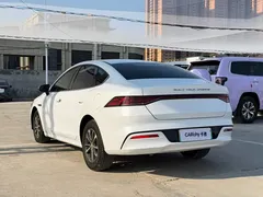 2023 BYD Qin PLUS Champion DM-i PHEV 55KM Leading, белый — фото 6