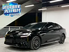 2025 BYD Seal 07 1.5L PHEV 125km Elite — фото 1