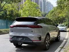 2025 BYD Tang DM-i 115KM PHEV Premium Smart Driving — фото 10