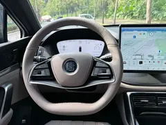 2025 BYD Tang DM-i 115KM PHEV Premium Smart Driving — фото 23
