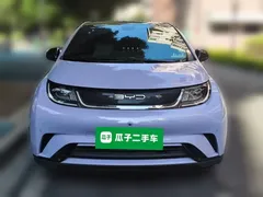 2023 BYD Dolphin 420km Fashion — фото 2