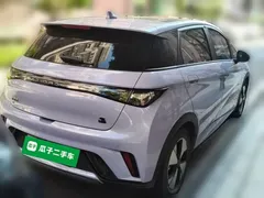 2023 BYD Dolphin 420km Fashion — фото 4