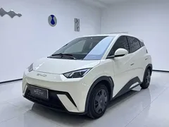 2024 BYD Seagull Honor 305km Vitality, белый — фото 1