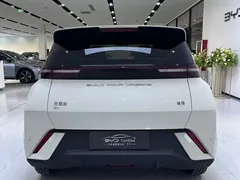 2024 BYD Seagull Honor 305km Vitality, белый — фото 10
