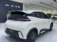 2024 BYD Seagull Honor 305km Vitality, белый — фото 12