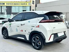 2025 BYD Seagull 305km Freedom — фото 13