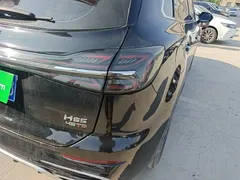 2023 Hongqi HS5 2.0T Pro, чёрный — фото 8