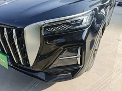 2023 Hongqi HS5 2.0T Pro, чёрный — фото 24