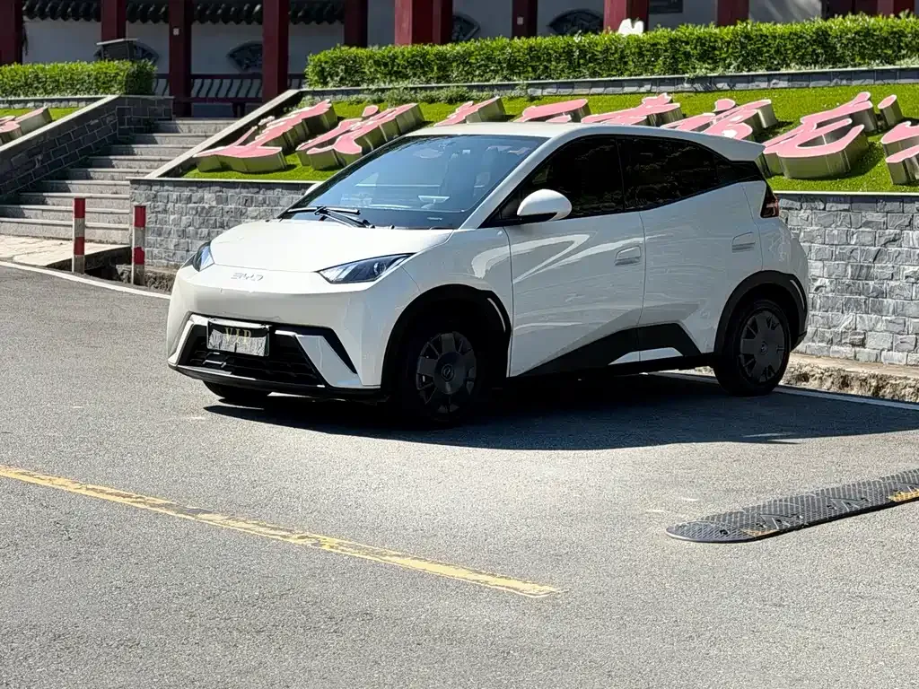 2025 BYD Seagull 305km Vitality
