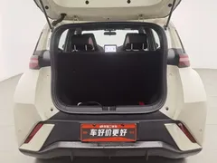 2025 BYD Seagull 305km Freedom, белый — фото 16