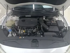 2021 Hyundai Lafesta 280TGDi GLX Elite, белый — фото 20