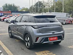 2023 BYD Dolphin 420km Freedom — фото 4