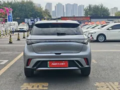 2023 BYD Dolphin 420km Freedom — фото 5