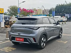 2023 BYD Dolphin 420km Freedom — фото 6