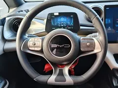 2023 BYD Dolphin 420km Freedom — фото 13