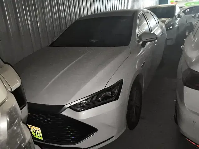 2024 BYD Qin PLUS Honor DM-i PHEV 55km Leading