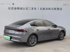 2024 BYD Qin PLUS Honor EV 510km Leading — фото 3