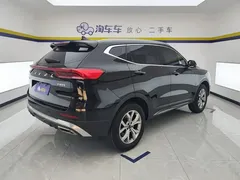 2021 Haval H6 1.5GDIT AT Guochao Champion, чёрный — фото 3