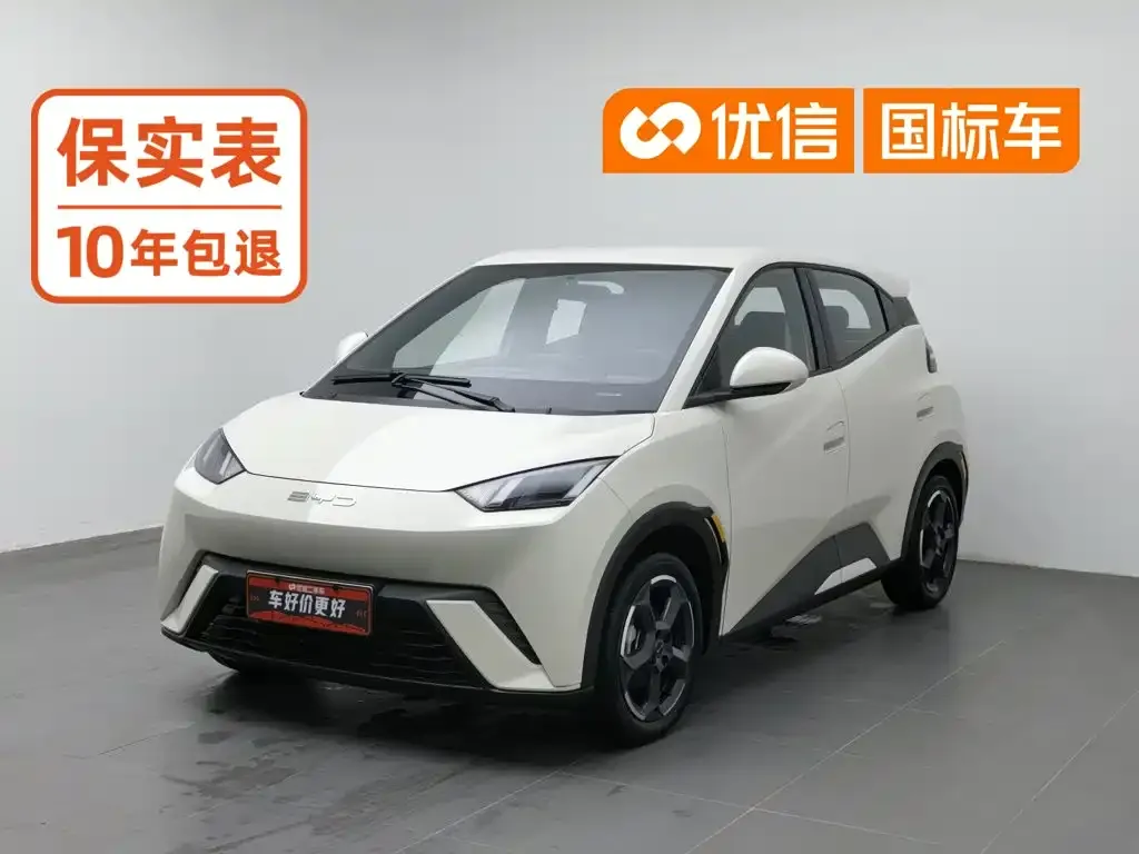 2023 BYD Seagull Flying
