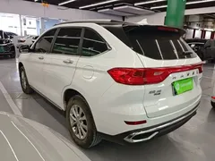 2021 Haval M6 Plus 1.5T DCT Luxury, белый — фото 5