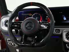 2021 Mercedes-Benz G-Class G 500 Special Edition — фото 14