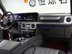 2021 Mercedes-Benz G-Class G 500 Special Edition — фото 21
