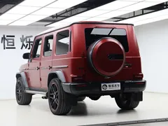 2021 Mercedes-Benz G-Class G 500 Special Edition — фото 24