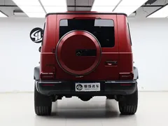 2021 Mercedes-Benz G-Class G 500 Special Edition — фото 25