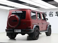 2021 Mercedes-Benz G-Class G 500 Special Edition — фото 26