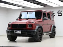 2021 Mercedes-Benz G-Class G 500 Special Edition — фото 29