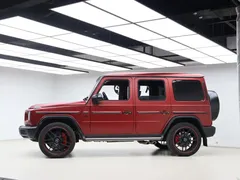 2021 Mercedes-Benz G-Class G 500 Special Edition — фото 31