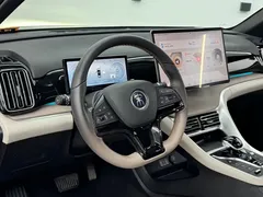 2023 BYD Song Pro Champion DM-i PHEV 110KM Excellence — фото 15