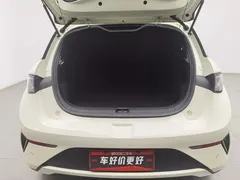 2025 BYD Dolphin Smart Driving 420km Freedom EV, белый — фото 16