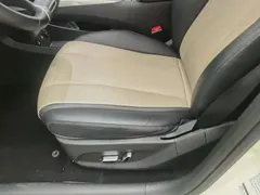 2025 BYD Dolphin Smart Driving 420km Freedom EV, белый — фото 20
