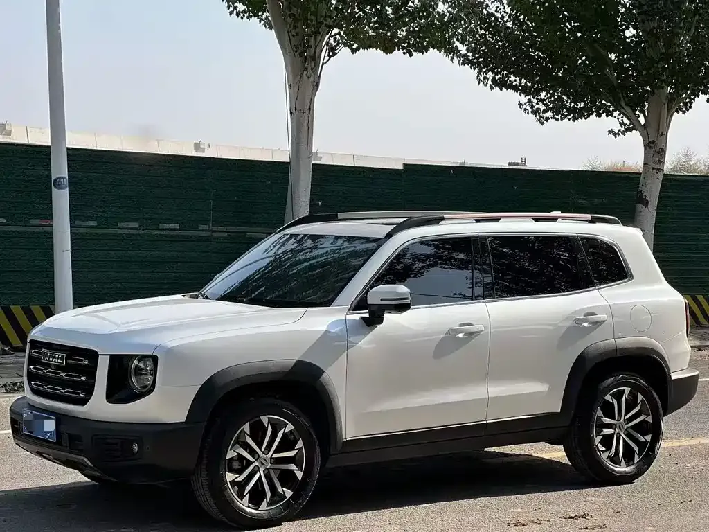 2021 Haval Dargo 1.5T DCT 2WD Wangcai
